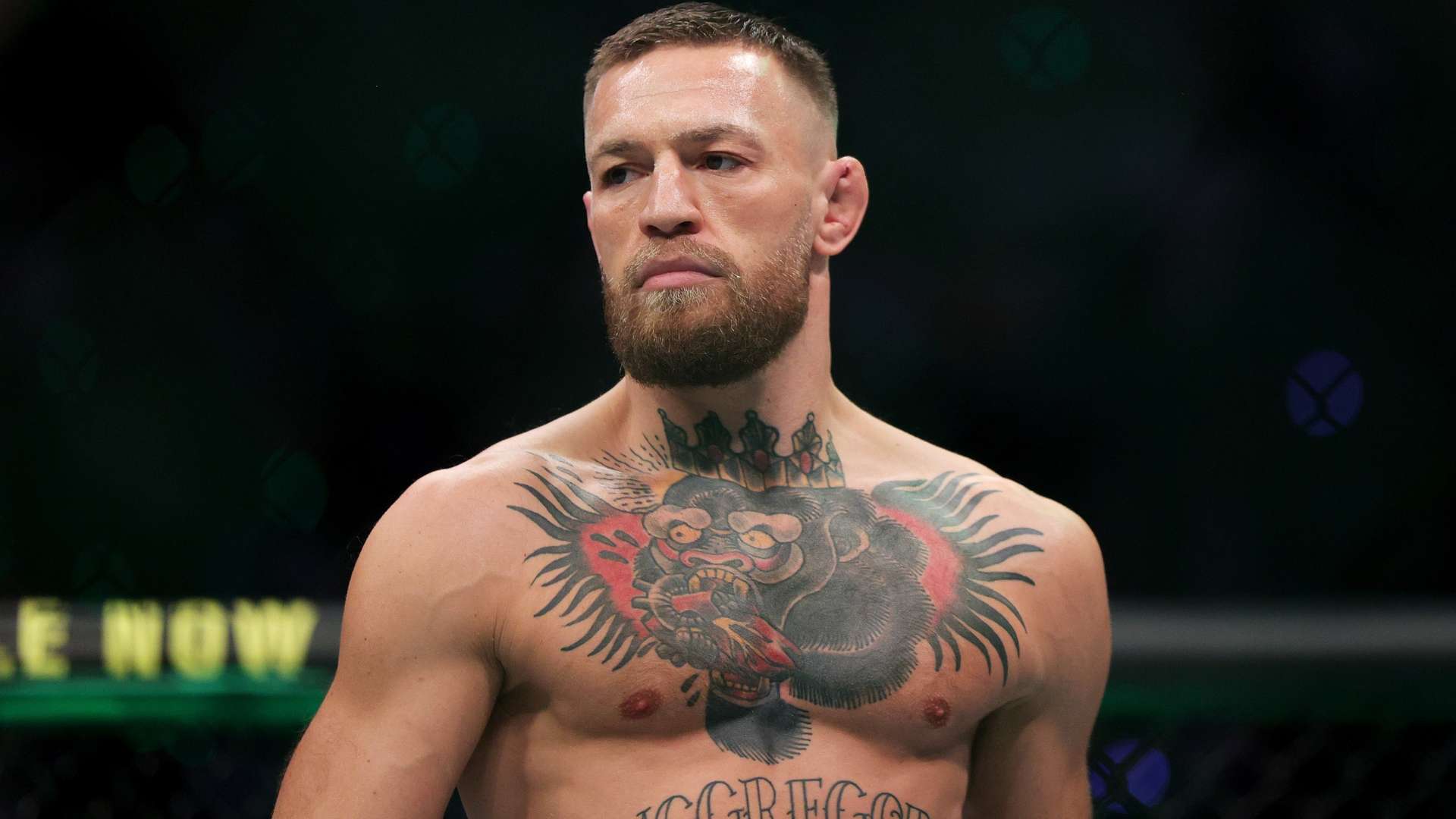 要找到屬於 要找到屬於